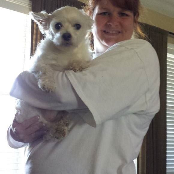 Meet your Posher, Donald - Picture 1 of 1